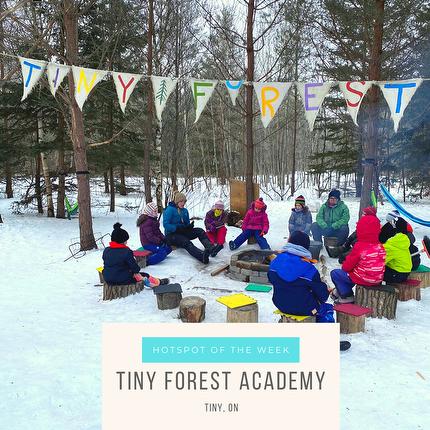 Tiny Forest Academy